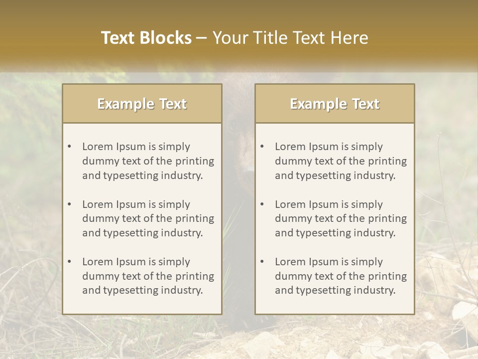 Older Sunrise White PowerPoint Template