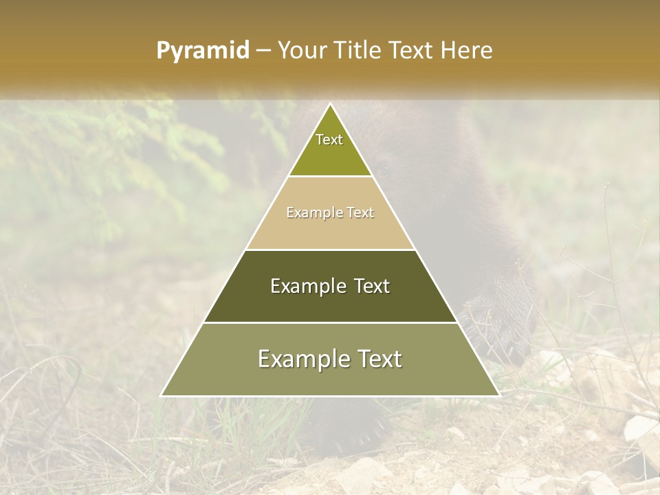 Older Sunrise White PowerPoint Template