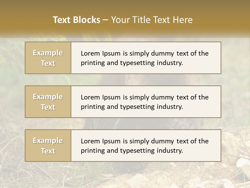 Older Sunrise White PowerPoint Template