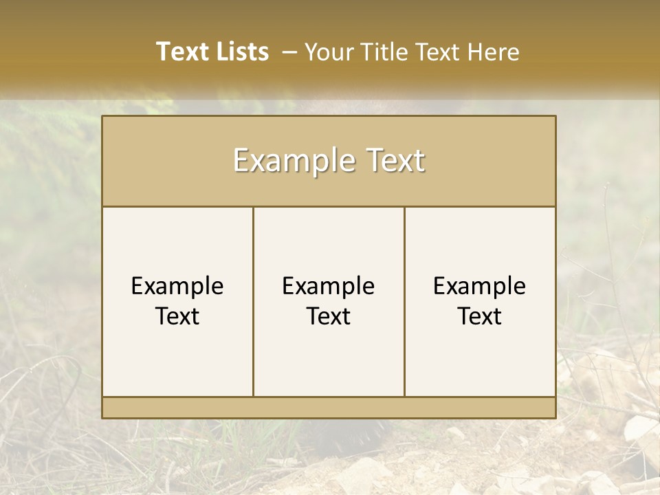 Older Sunrise White PowerPoint Template