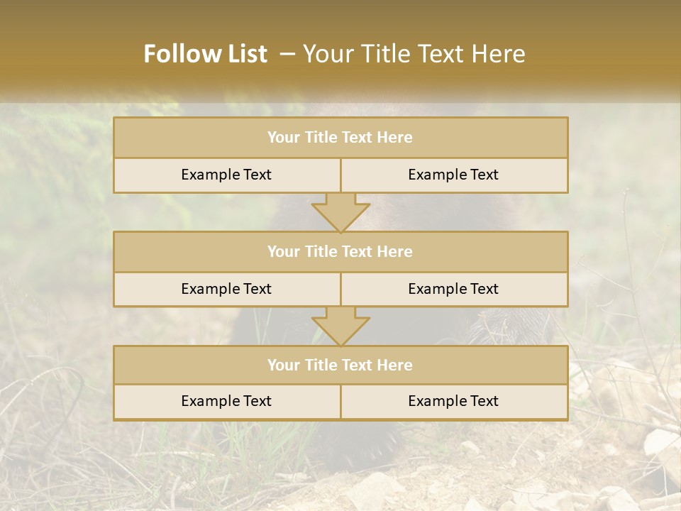 Older Sunrise White PowerPoint Template