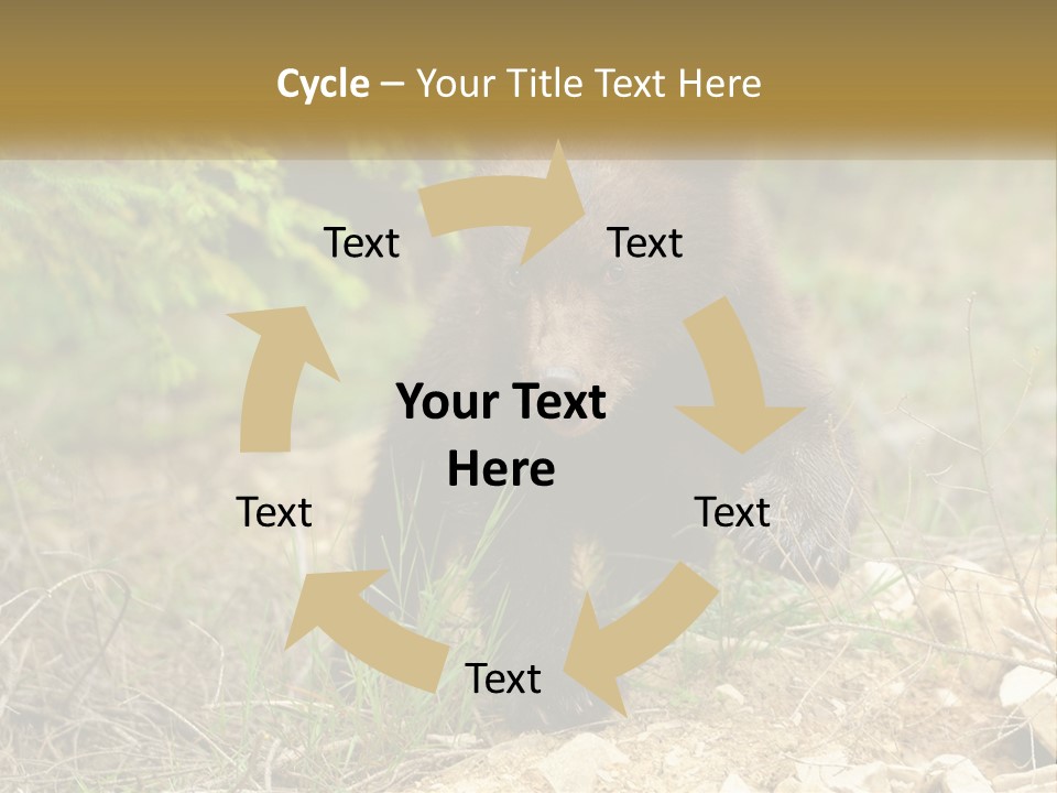 Older Sunrise White PowerPoint Template