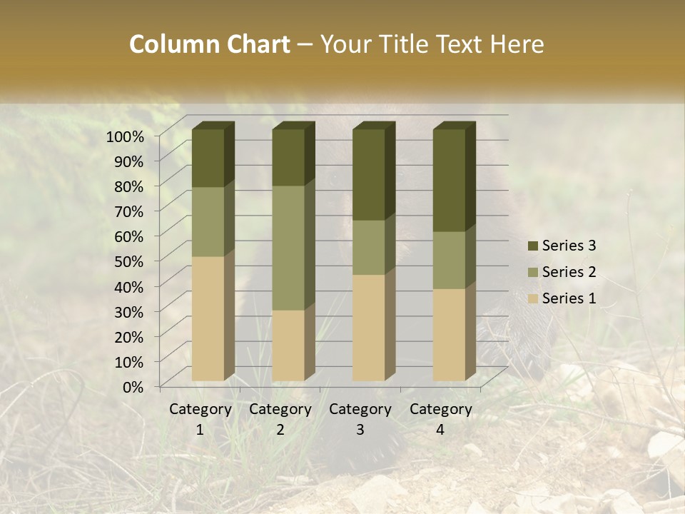 Older Sunrise White PowerPoint Template