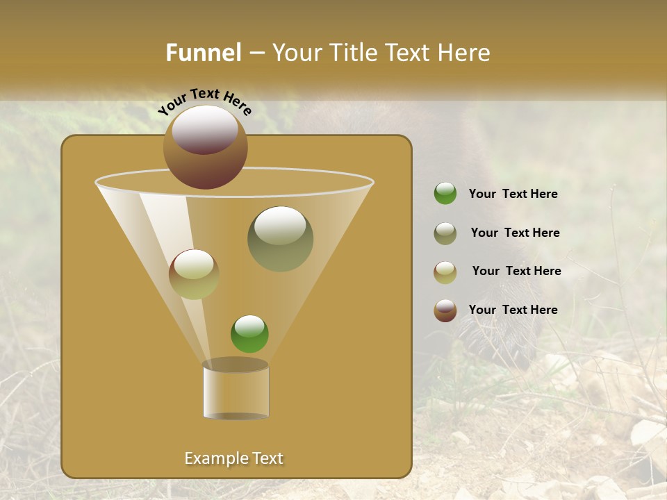 Older Sunrise White PowerPoint Template
