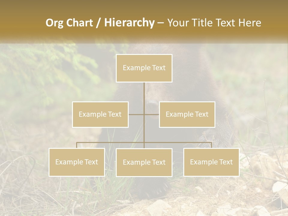 Older Sunrise White PowerPoint Template