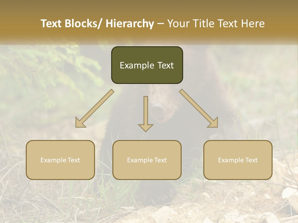 Older Sunrise White PowerPoint Template