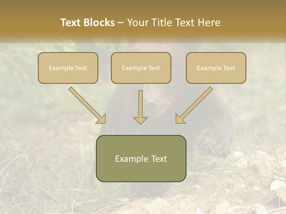 Older Sunrise White PowerPoint Template