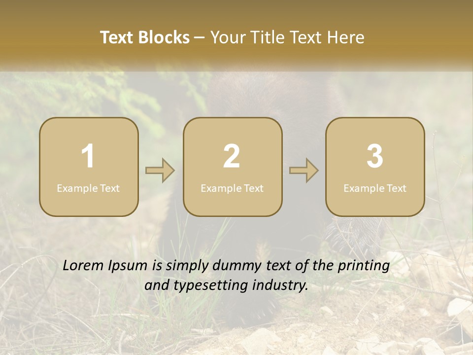 Older Sunrise White PowerPoint Template