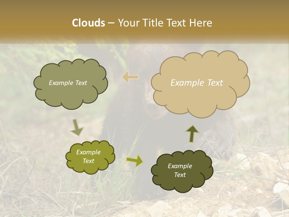 Older Sunrise White PowerPoint Template