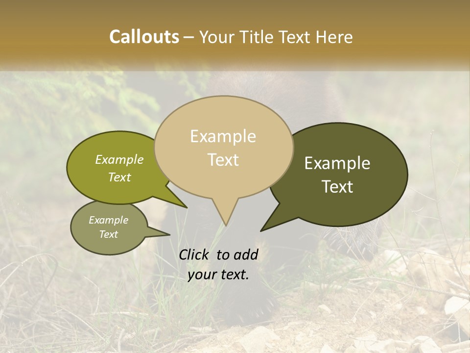 Older Sunrise White PowerPoint Template