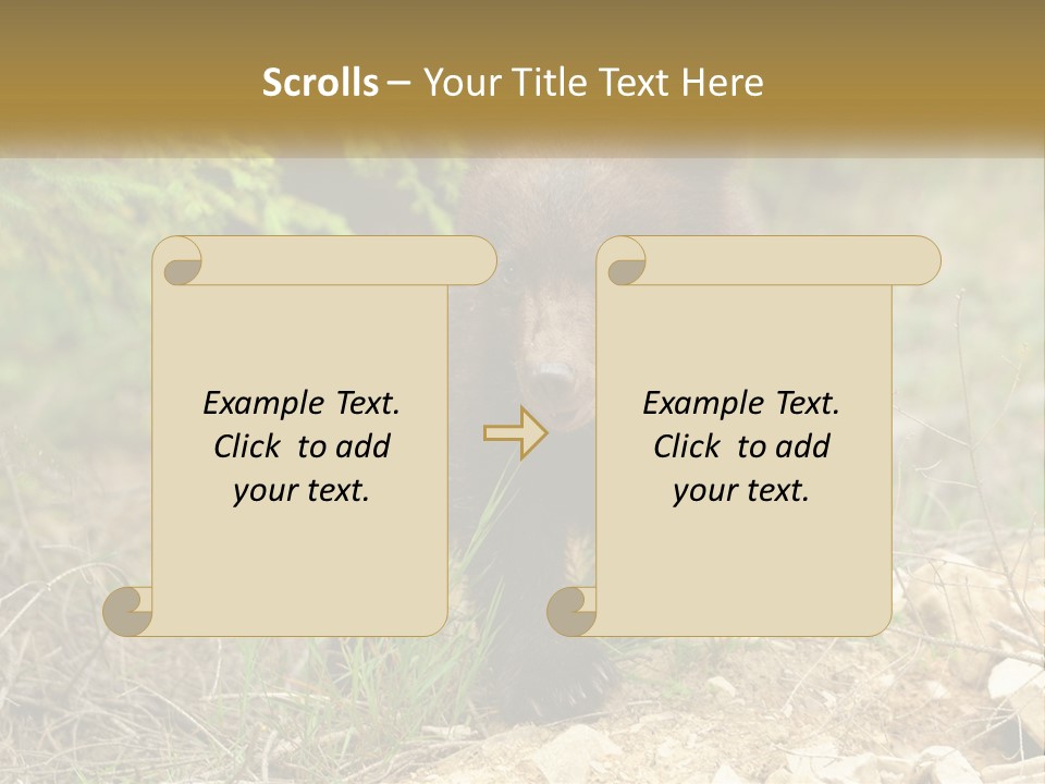 Older Sunrise White PowerPoint Template