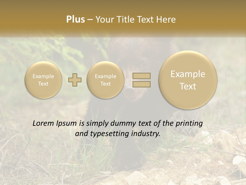 Older Sunrise White PowerPoint Template