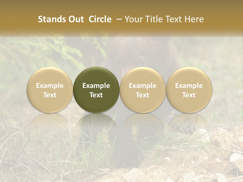 Older Sunrise White PowerPoint Template