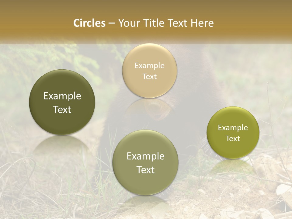 Older Sunrise White PowerPoint Template