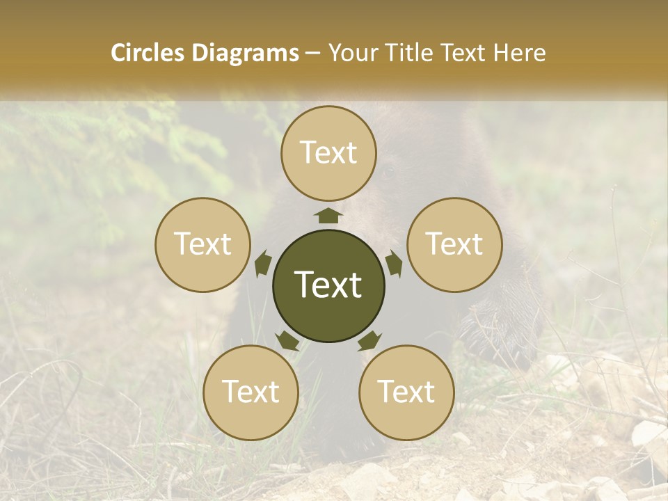 Older Sunrise White PowerPoint Template