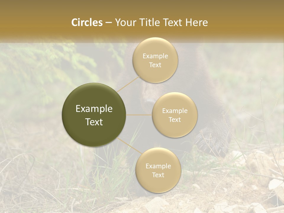 Older Sunrise White PowerPoint Template