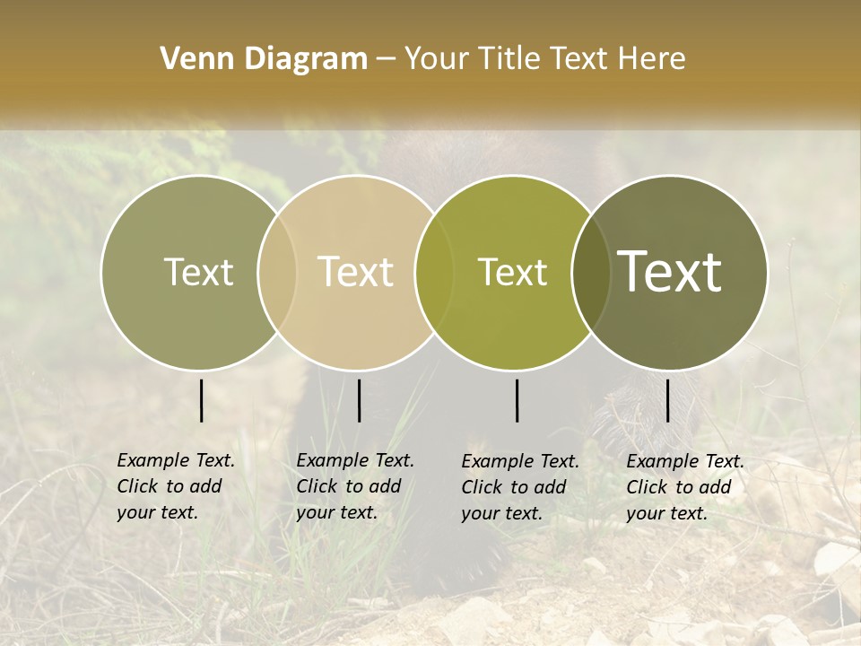 Older Sunrise White PowerPoint Template
