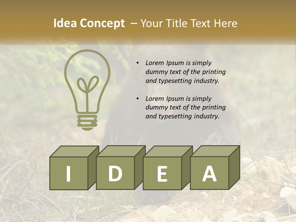 Older Sunrise White PowerPoint Template