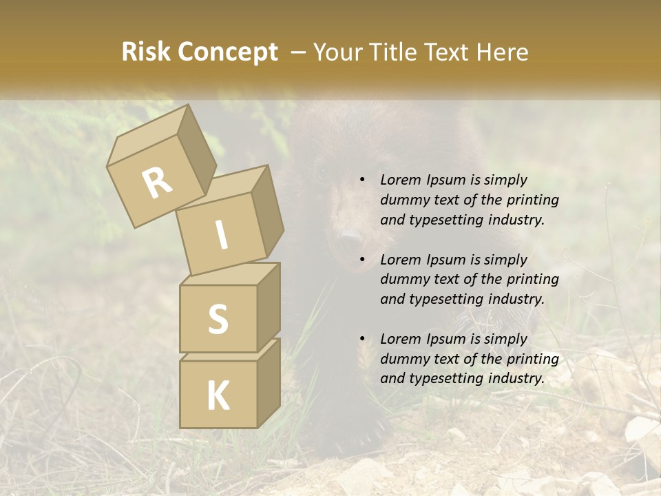 Older Sunrise White PowerPoint Template