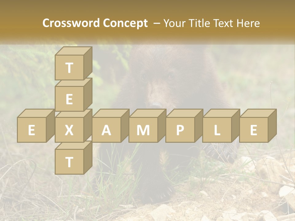 Older Sunrise White PowerPoint Template