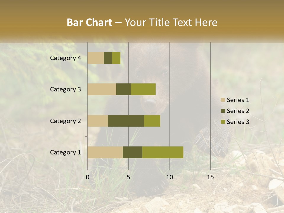Older Sunrise White PowerPoint Template