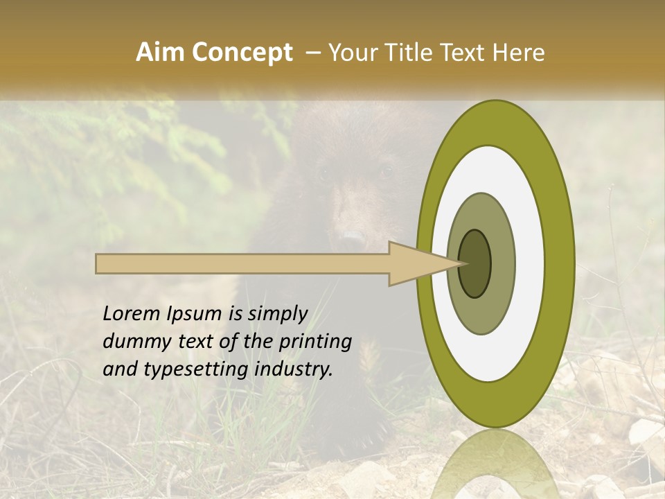 Older Sunrise White PowerPoint Template