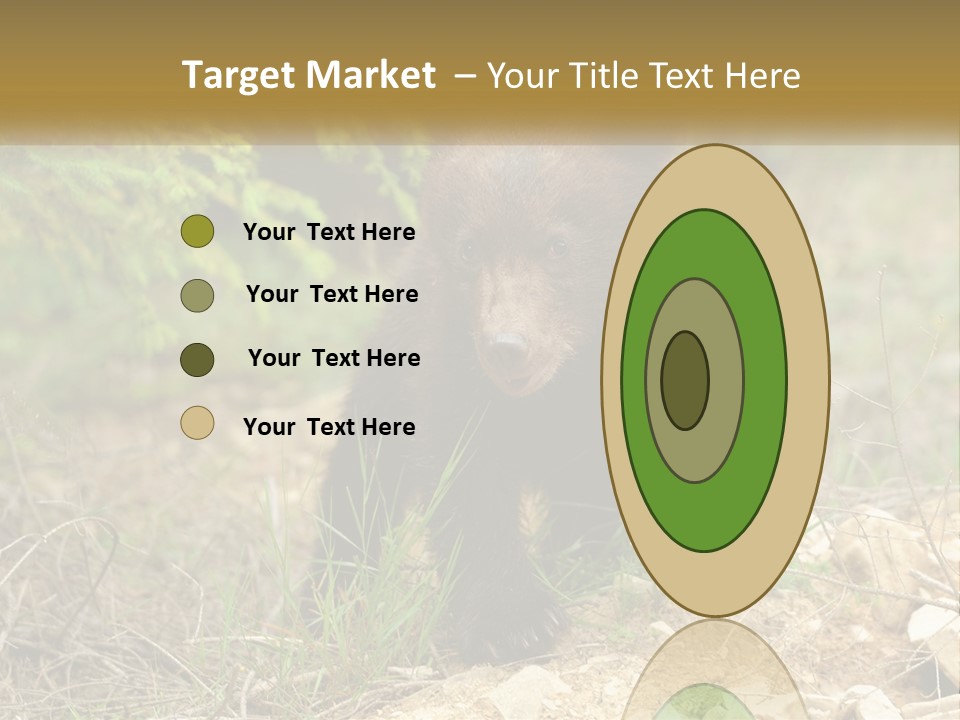 Older Sunrise White PowerPoint Template