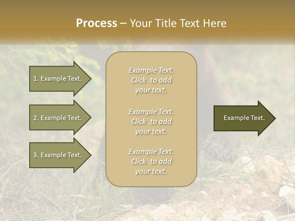 Older Sunrise White PowerPoint Template