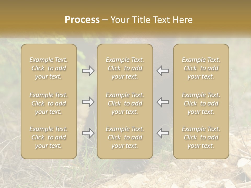 Older Sunrise White PowerPoint Template