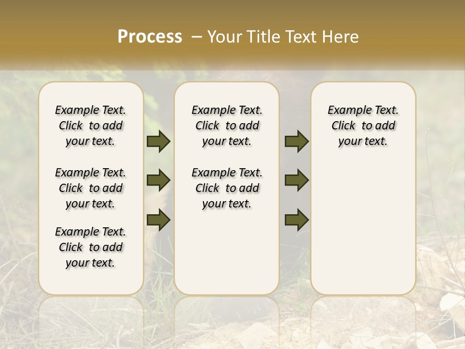 Older Sunrise White PowerPoint Template