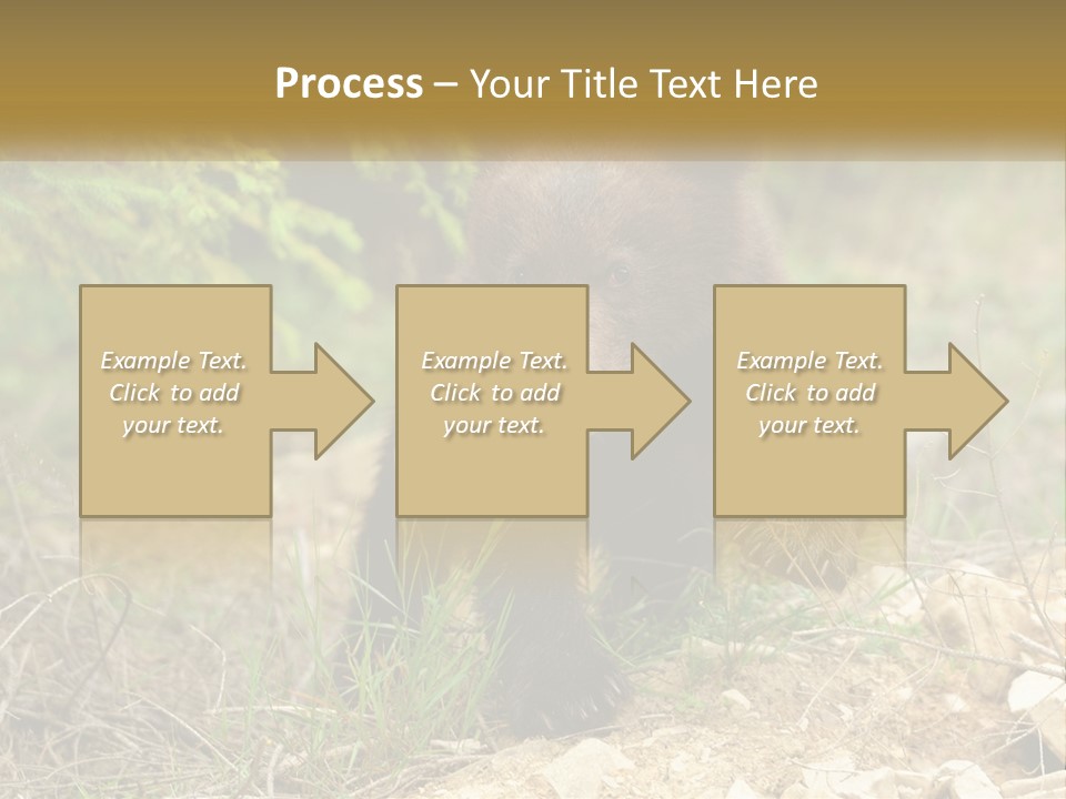 Older Sunrise White PowerPoint Template