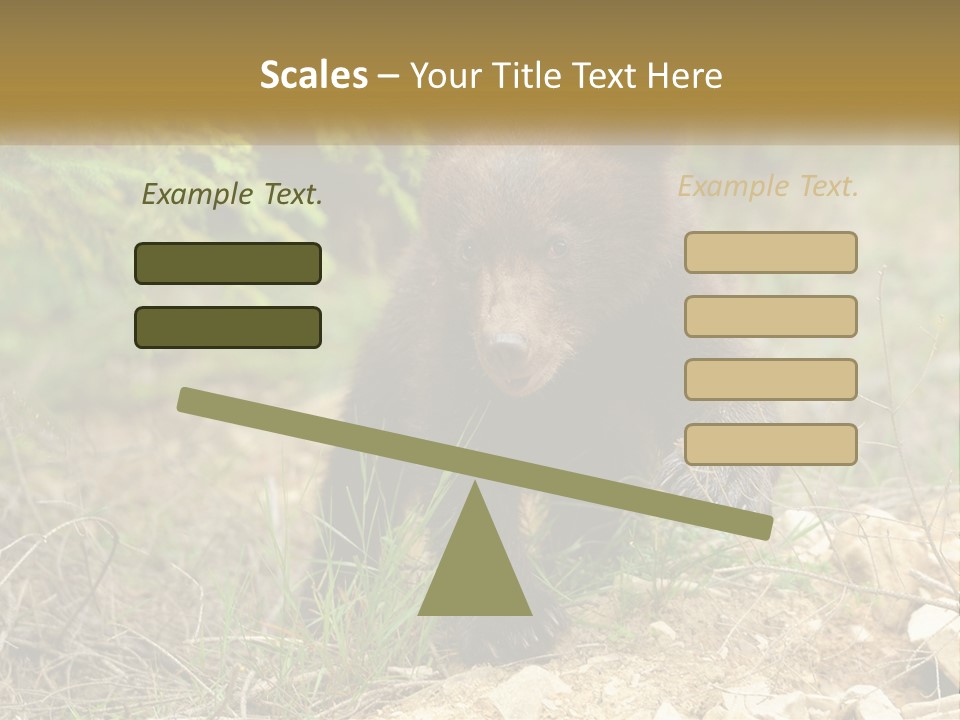 Older Sunrise White PowerPoint Template