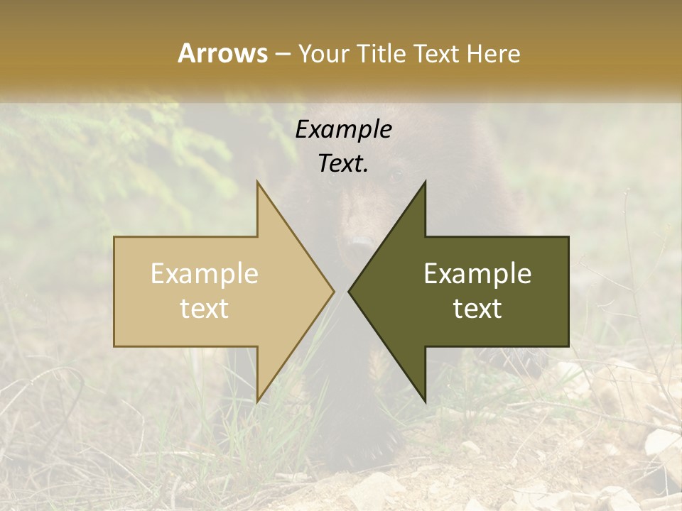 Older Sunrise White PowerPoint Template