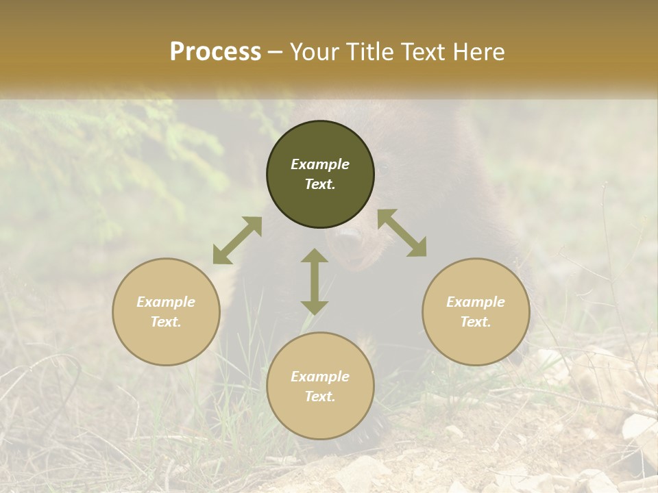 Older Sunrise White PowerPoint Template