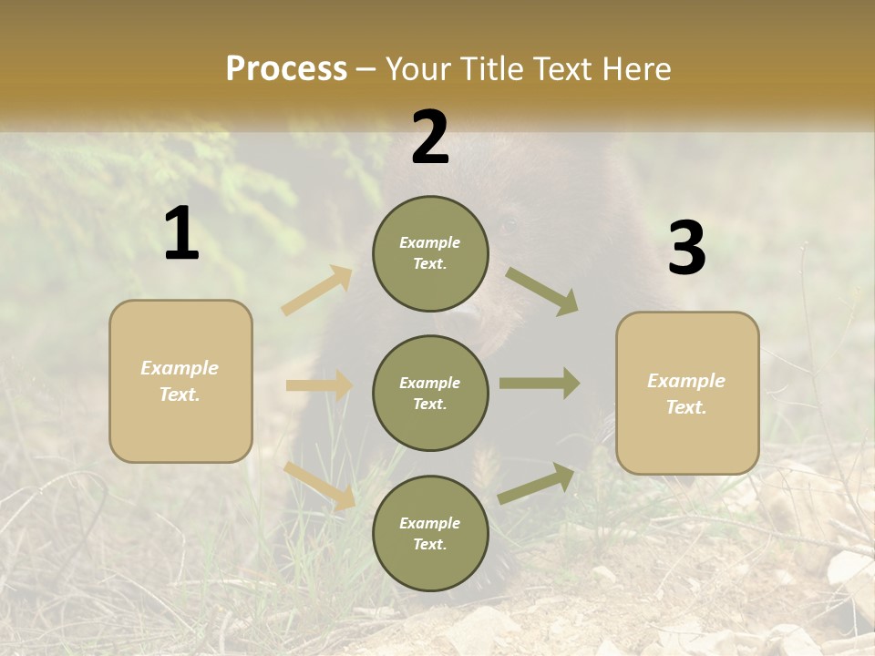 Older Sunrise White PowerPoint Template