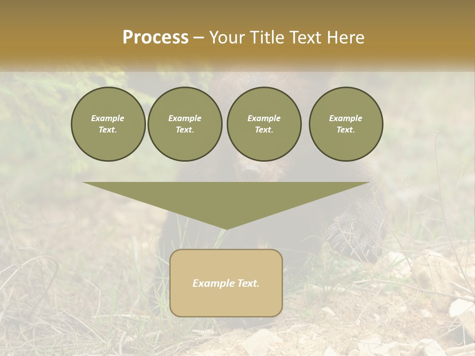 Older Sunrise White PowerPoint Template