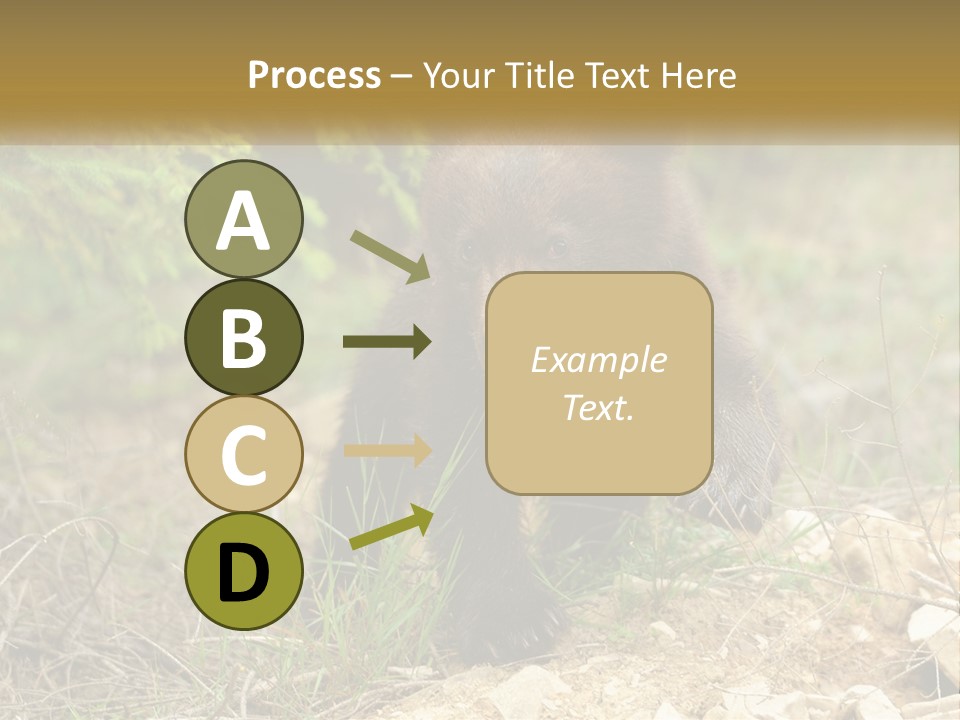 Older Sunrise White PowerPoint Template