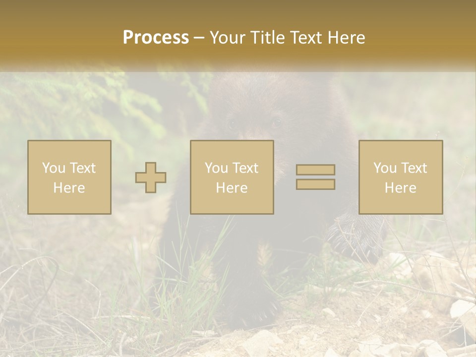 Older Sunrise White PowerPoint Template