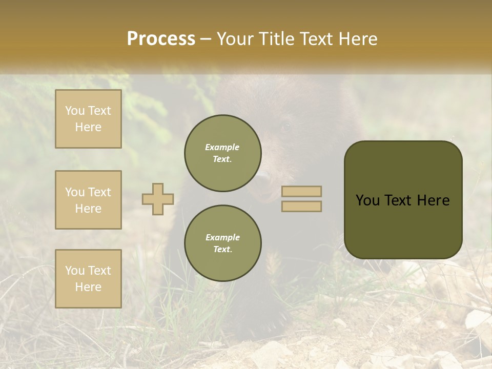 Older Sunrise White PowerPoint Template