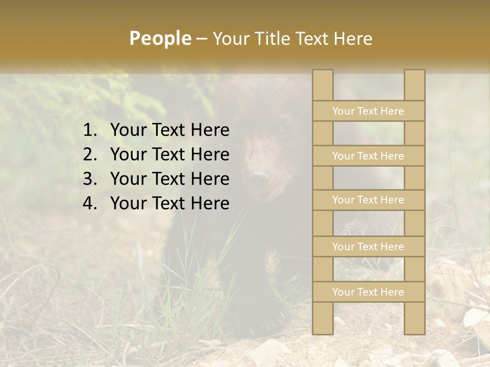 Older Sunrise White PowerPoint Template