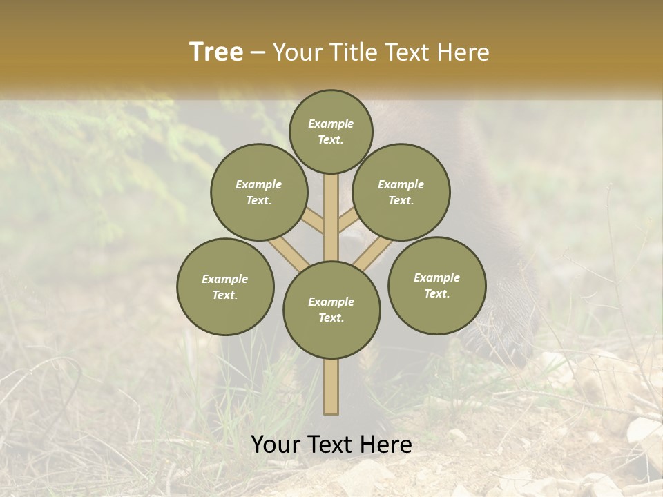 Older Sunrise White PowerPoint Template