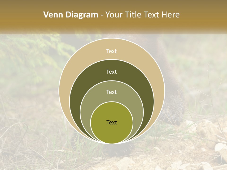Older Sunrise White PowerPoint Template