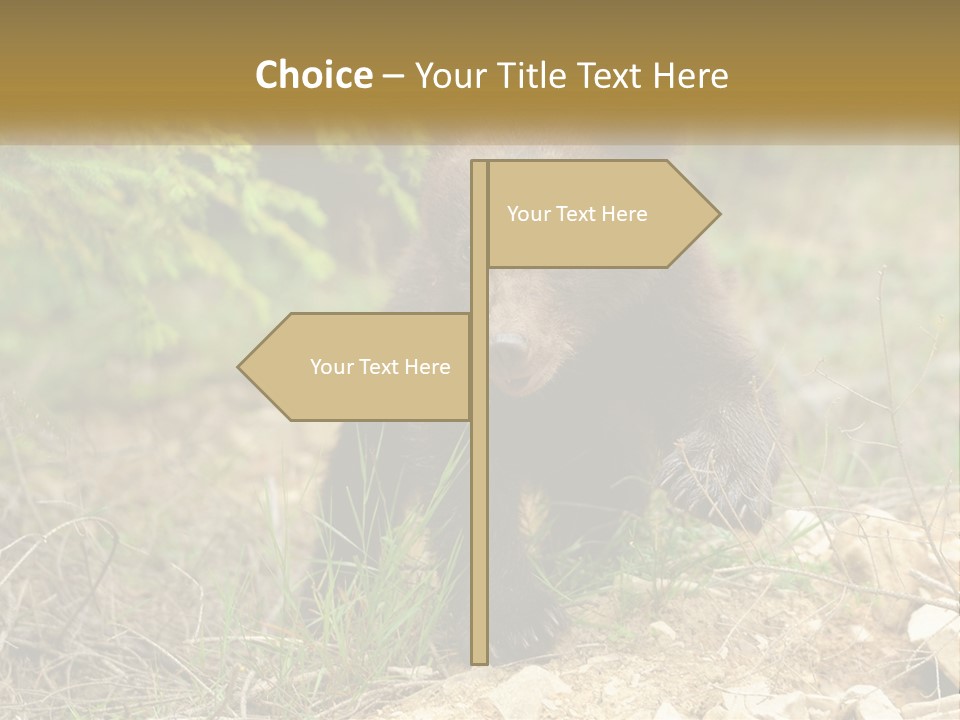 Older Sunrise White PowerPoint Template