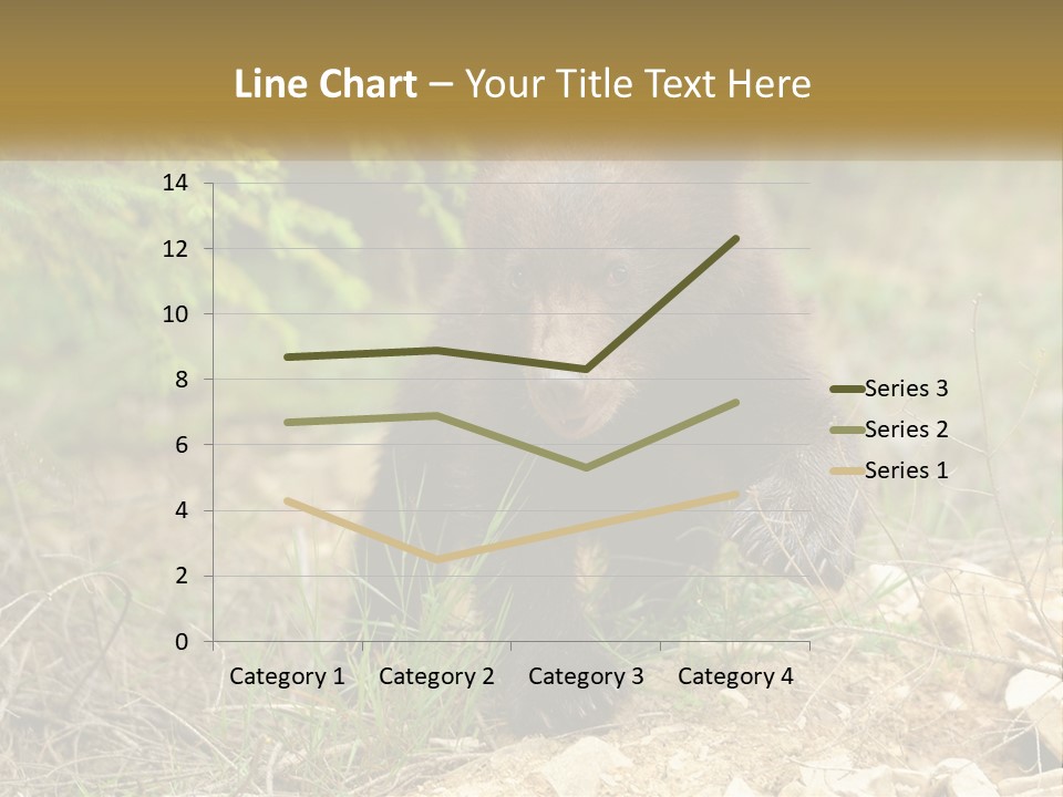 Older Sunrise White PowerPoint Template