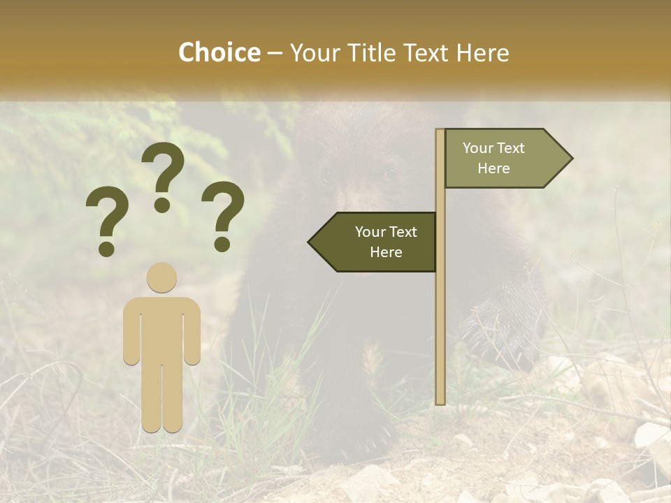 Older Sunrise White PowerPoint Template