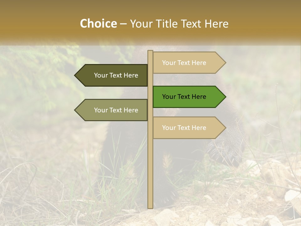 Older Sunrise White PowerPoint Template