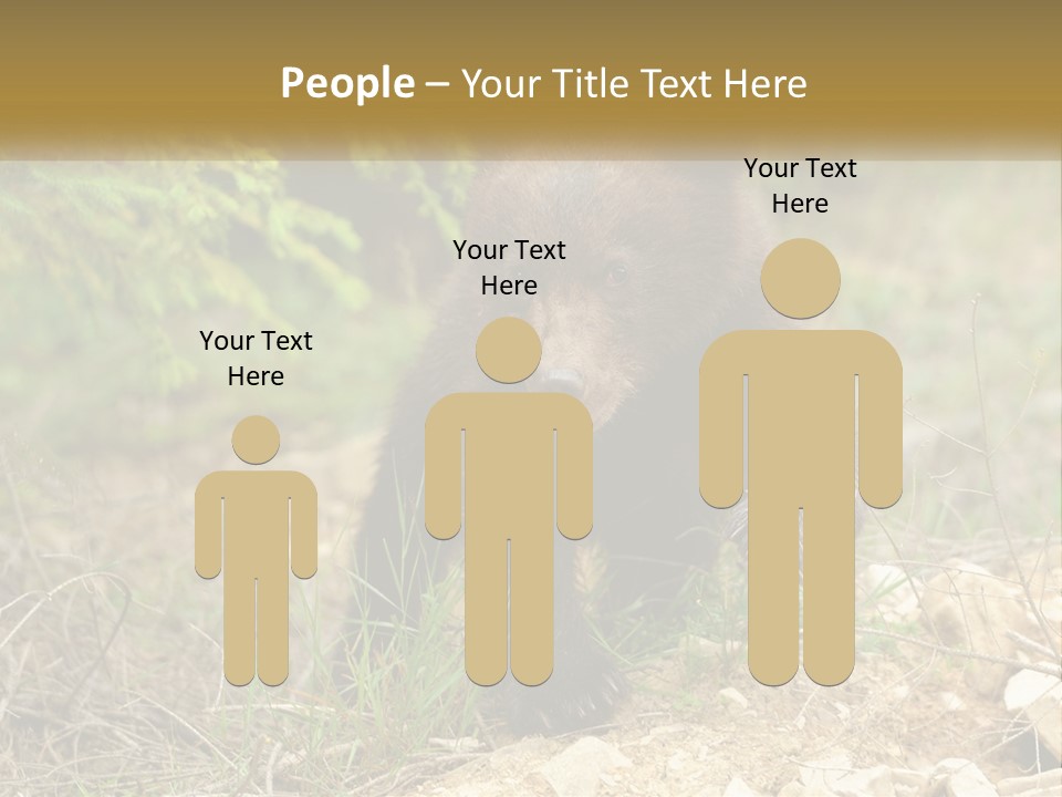 Older Sunrise White PowerPoint Template