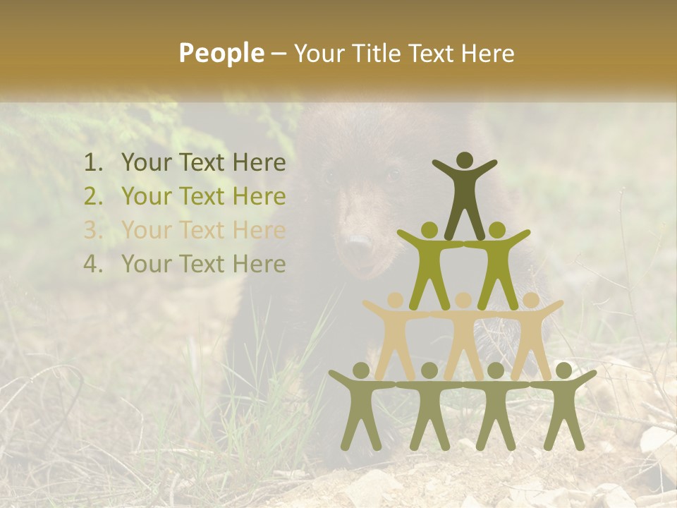 Older Sunrise White PowerPoint Template