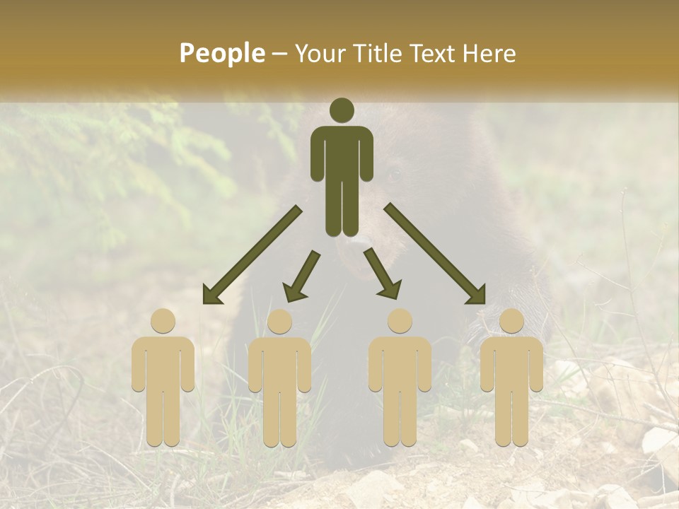 Older Sunrise White PowerPoint Template