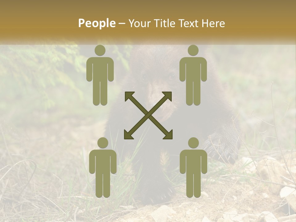 Older Sunrise White PowerPoint Template